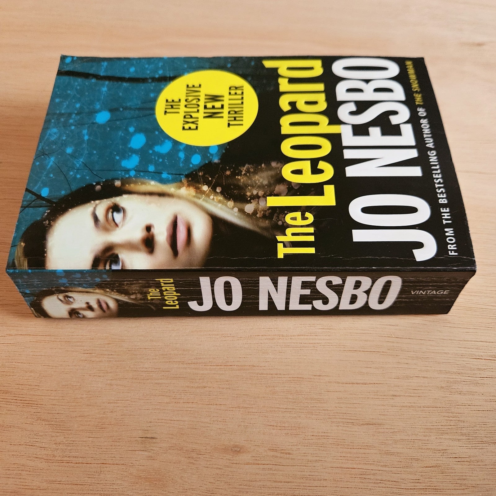 Jo Nesbo Book Bundle – The Leopard, Phantom, The Redeemer & The Thirst (4 Books)