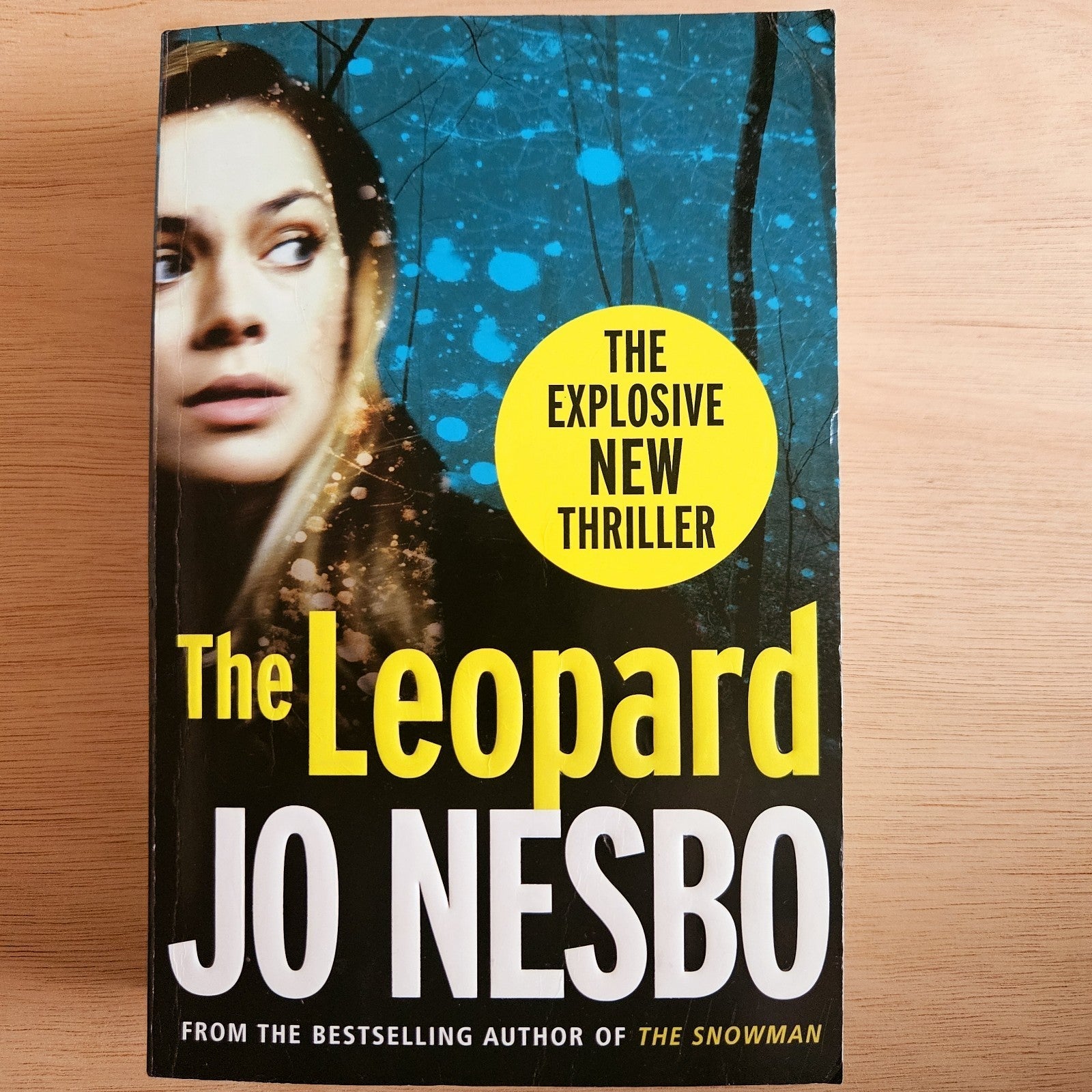 Jo Nesbo Book Bundle – The Leopard, Phantom, The Redeemer & The Thirst (4 Books)
