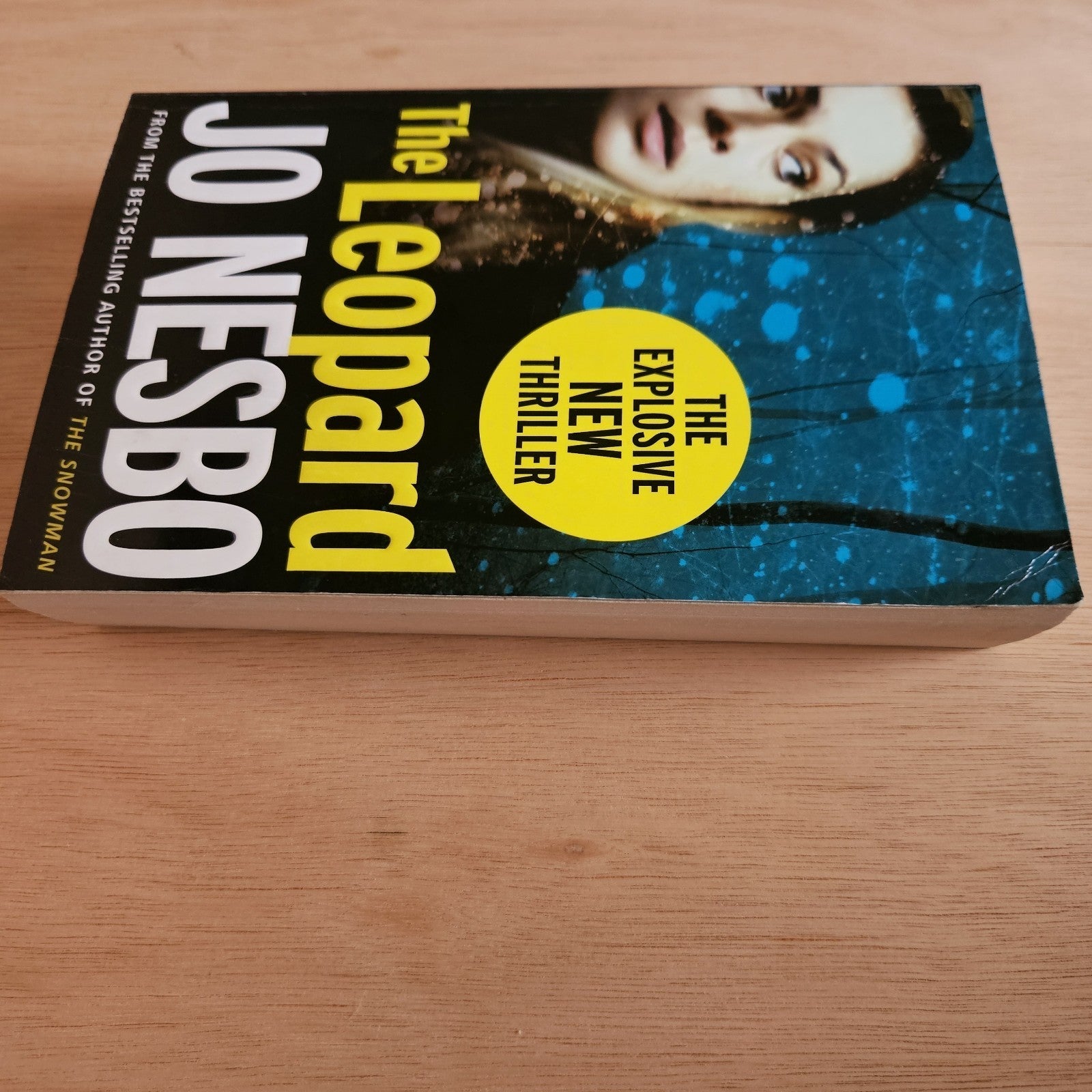 Jo Nesbo Book Bundle – The Leopard, Phantom, The Redeemer & The Thirst (4 Books)